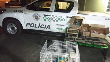 Divulgação / PM-SP