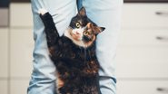 Reprodução / Pinterest