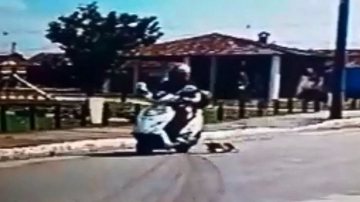 Reprodução