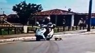 Reprodução