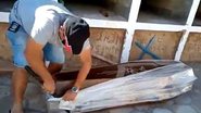 Reprodução / Redes sociais
