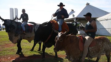José Cruz/Agência Brasil
