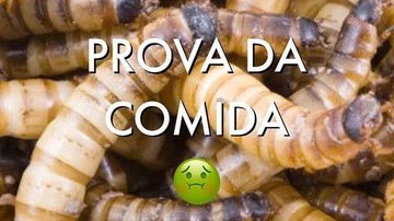 Reprodução / Instagram