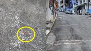 Reprodução // Youtube