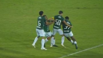 Reprodução