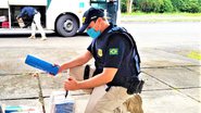 Divulgação/ PRFBA