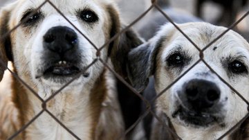 Geovana Albuquerque/Agência Saúde DF