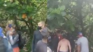 Reprodução/Vídeo
