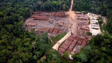 PF via Amazonia Real/Fotos Públicas