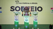 Divulgação