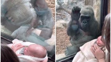 Reprodução/Youtube