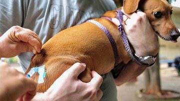 Marcelo Camargo/Agência Brasil