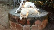 Reprodução / Instagram