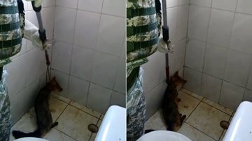Reprodução / Twitter