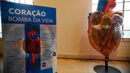 Agência Brasil
