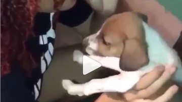 Reprodução / Instagram