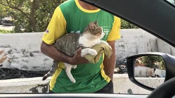 Reprodução / Twitter