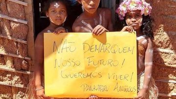 Divulgação