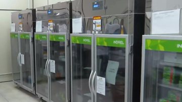 Reprodução/TV Globo