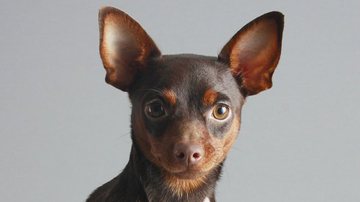 Reprodução / Pinterest