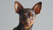Reprodução / Pinterest