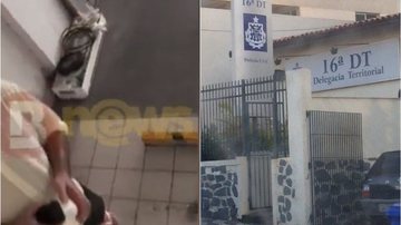 Reprodução