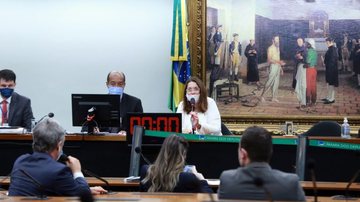 Reprodução/Gustavo Sales/Câmara dos Deputados