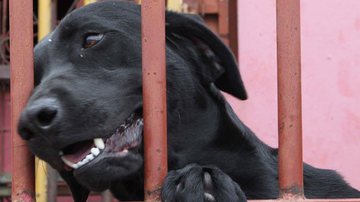 Toninho Tavares/Agência Brasília