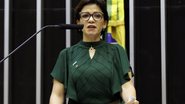 Najara Araújo/Câmara dos Deputados