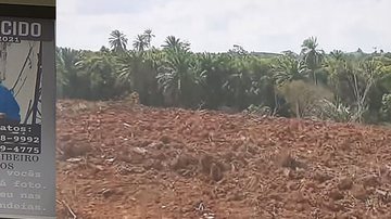 Reprodução/ RecordTV Itapoan