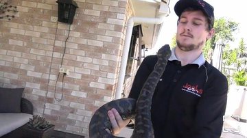 Reprodução / Instagram (@josh_castle_snake_catcher)