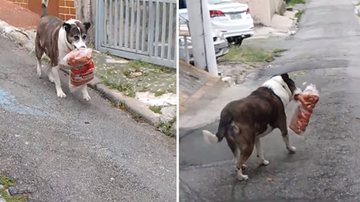 Reprodução / TikTok