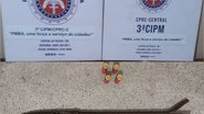 Divulgação/ Polícia Militar