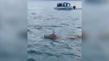 Reprodução / Instagram