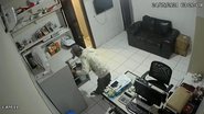 Reprodução/ Twitter