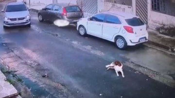 Reprodução/Youtube