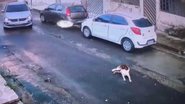 Reprodução/Youtube