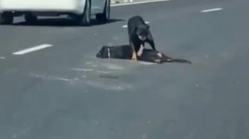 Reprodução / Instagram