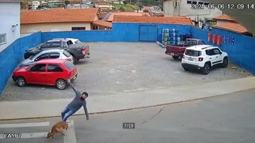 Reprodução