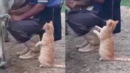 Reprodução / Twitter