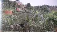Reprodução/ RecordTV Itapoan