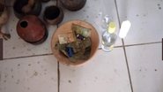 Divulgação