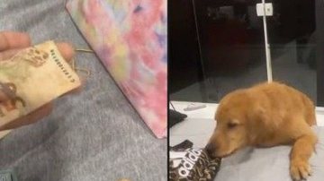 Reprodução / Instagram