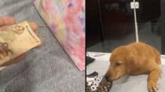 Reprodução / Instagram