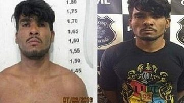 Divulgação