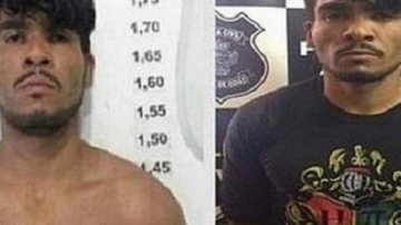 Divulgação