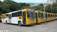 Arquivo BNews