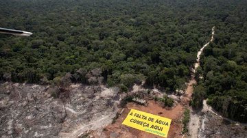 Reprodução // Greenpeace.org