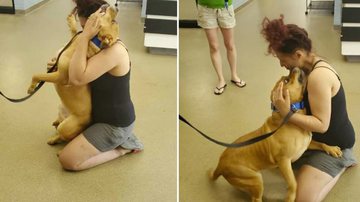 Reprodução/Pinterest