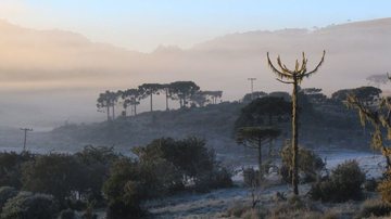 Divulgação/ Prefeitura de Urupema